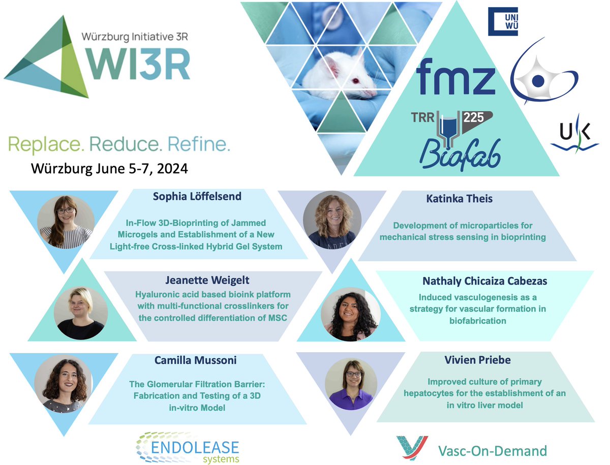 Biofabrication Würzburg tweet media