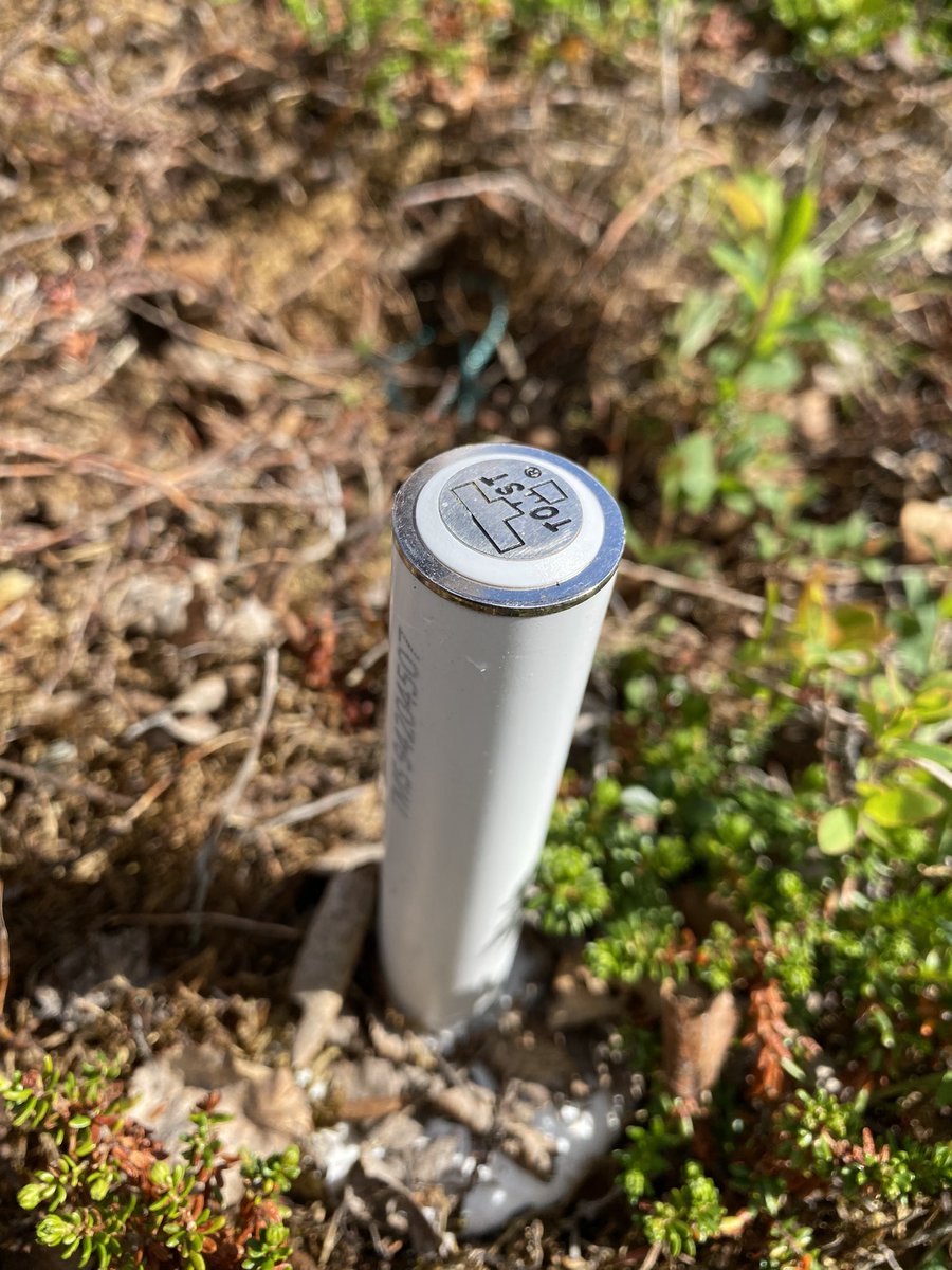 We’re back in #abisko! This year we’re maintaining our #climate #change #simulation #fieldexperiments in #birch #forests and in #tundra, monitoring vegetation, #respiration, and other responses… 1/n