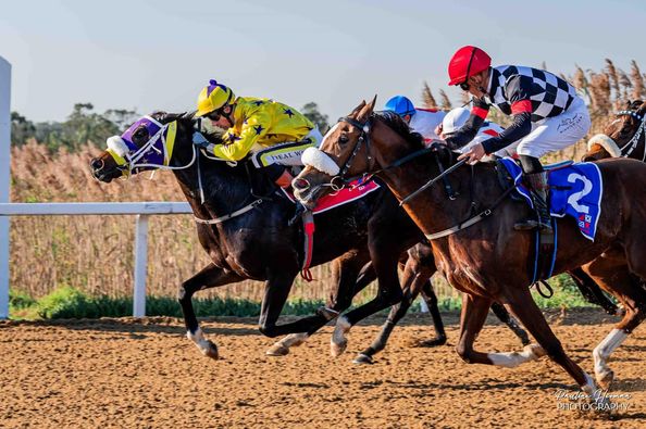 Hollywood Syndicate tweet media