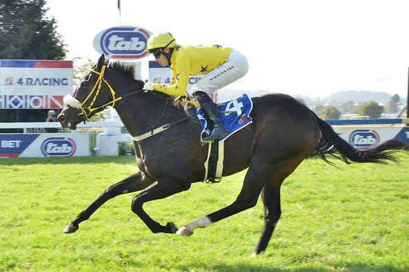 Hollywood Syndicate tweet media