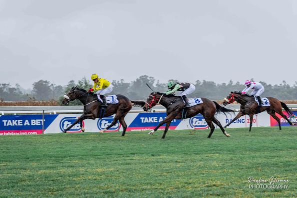 Hollywood Syndicate tweet media