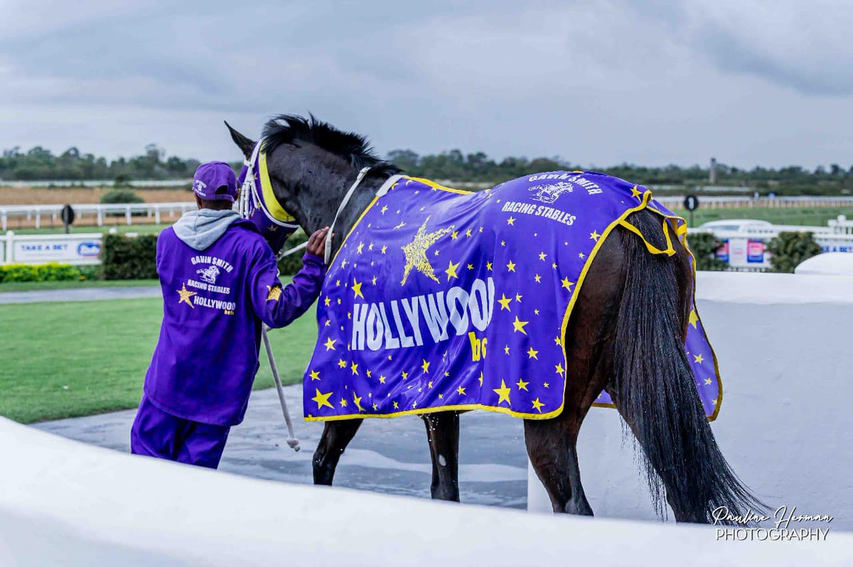 Hollywood Syndicate tweet media