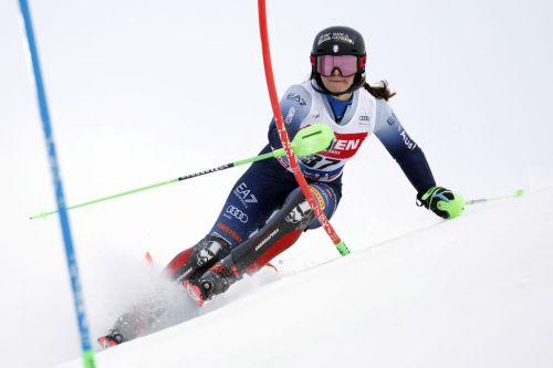 Intoppo nella preparazione per "Tite" Sola: piccola frattura al capitello radiale, stop di tre settimane #FISAlpine #AlpineSkiing #6Giugno #scialpinofemminile dlvr.it/T7vZX3