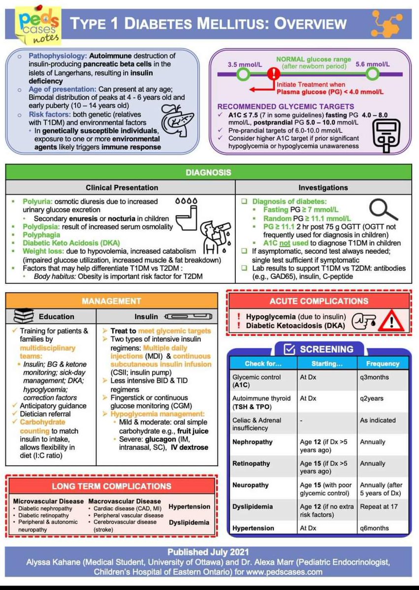 🔴 Type 1 Diabetes Mellitus: overview