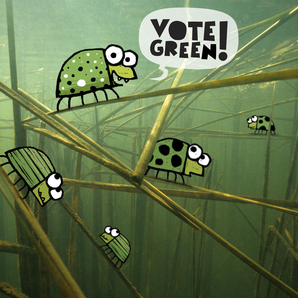 willemkolvoort's tweet photo. ππͺ²πΈβοΈVOTE GREEN! ππ¦π’βοΈ @PartijvdDieren #verkiezingenEU #candybeetle #teamplanet https://t.co/ghsPIv1UCI