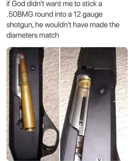 Has anyone tried this ?