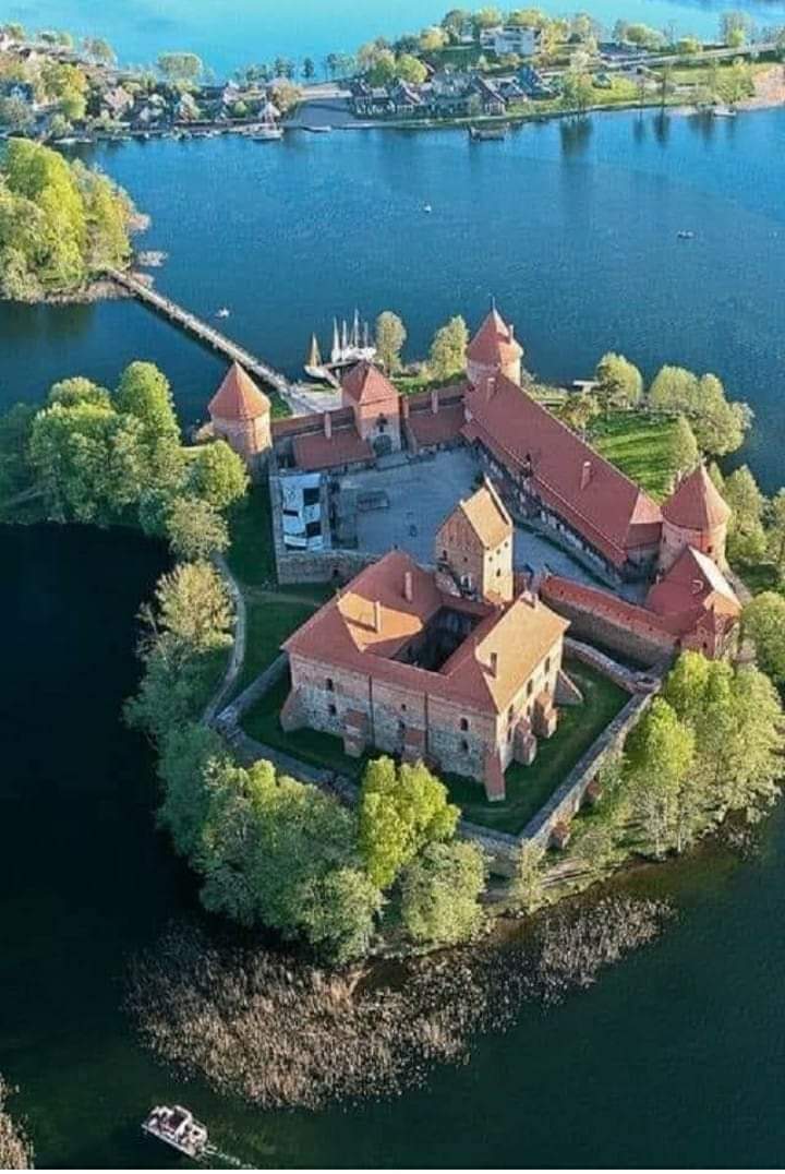 ııııı tweet media