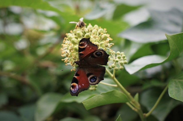 How did you celebrate #WorldEnvironmentDay? 🍃🌊⛅

It's a great opportunity to think about how to garden in a way that's kind to our environment. Our #PlantAndShare guide will take you through things to consider when growing in a nature-friendly way 👇🌷

fflgettogethers.org/media/yprpyvad…