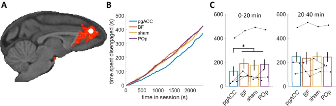 Nils Kolling tweet media