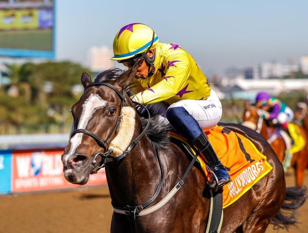 Hollywood Syndicate tweet media