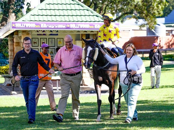 Hollywood Syndicate tweet media