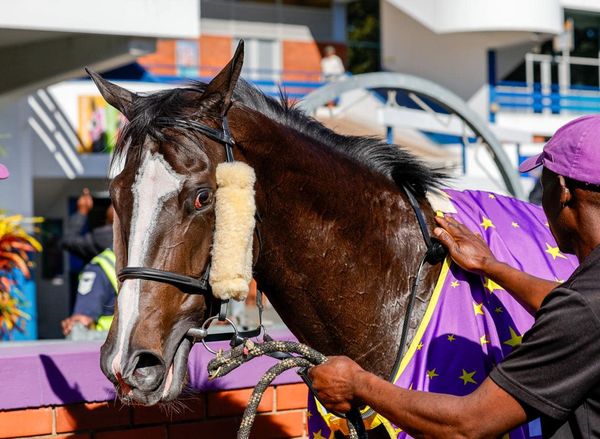 Hollywood Syndicate tweet media