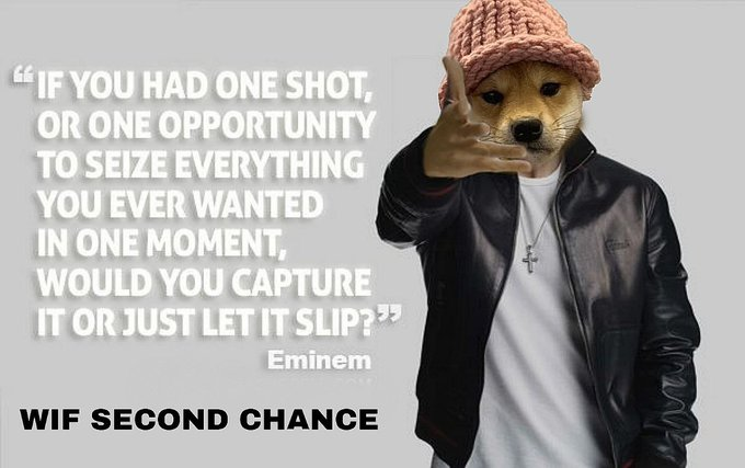 Booguh's tweet photo. @NEW_SOL_ORDER @zachhumphries @KenduInu @SecondChanceCTO @solanabateman #Secondchance https://t.co/aG4bnzSHyj