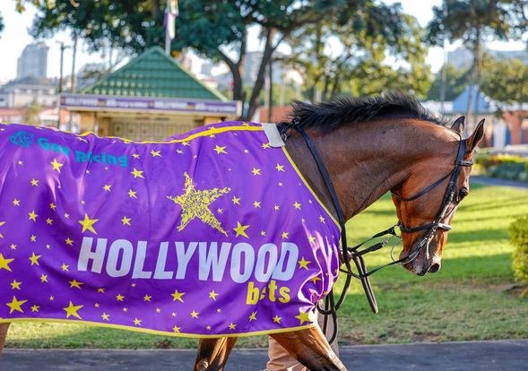 Hollywood Syndicate tweet media