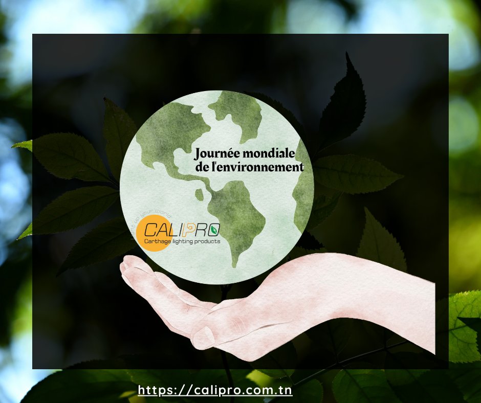 CALIPRO_Light's tweet photo. 🌍 Journée mondiale de l'environnement 🌍

Bien que la Journée mondiale de l'environnement soit célébrée le 5 juin, chez CALIPRO, nous croyons que chaque jour est une opportunité pour agir en faveur de notre planète.
#JournéeMondialeDeLEnvironnement #CALIPRO #Sustainability https://t.co/0wQeKwPxR0