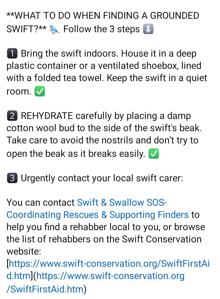 grahamknight59's tweet photo. There is a lot of bad advice being shared online about what to do if you find a grounded Swift.

DO NOT try to feed it 
DO NOT throw it in the air.

DO put it in a large cardboard box with a lid and follow the excellent advice set out below #hertsbirds https://t.co/PGo52VuHoB