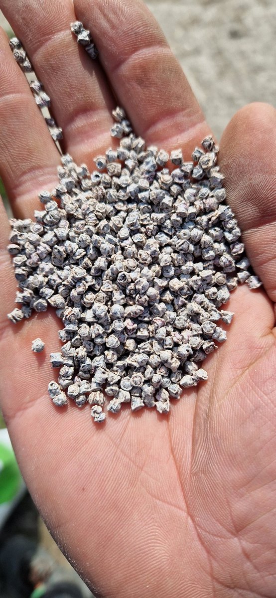 Joost Rijk tweet media