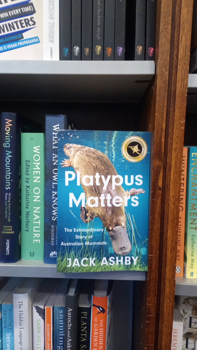 sojopotter's tweet photo. Bookshop tourism yesterday led to another @JackDAshby spot, this time at @StanfordsBrist! https://t.co/oA79ERbrGr