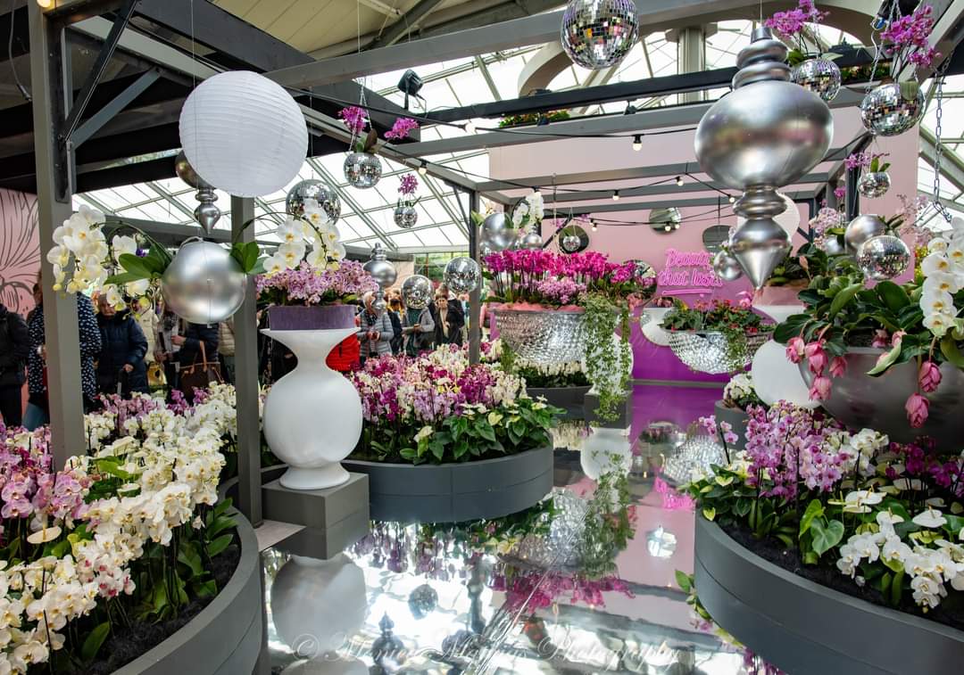 Monica Mathias tweet media