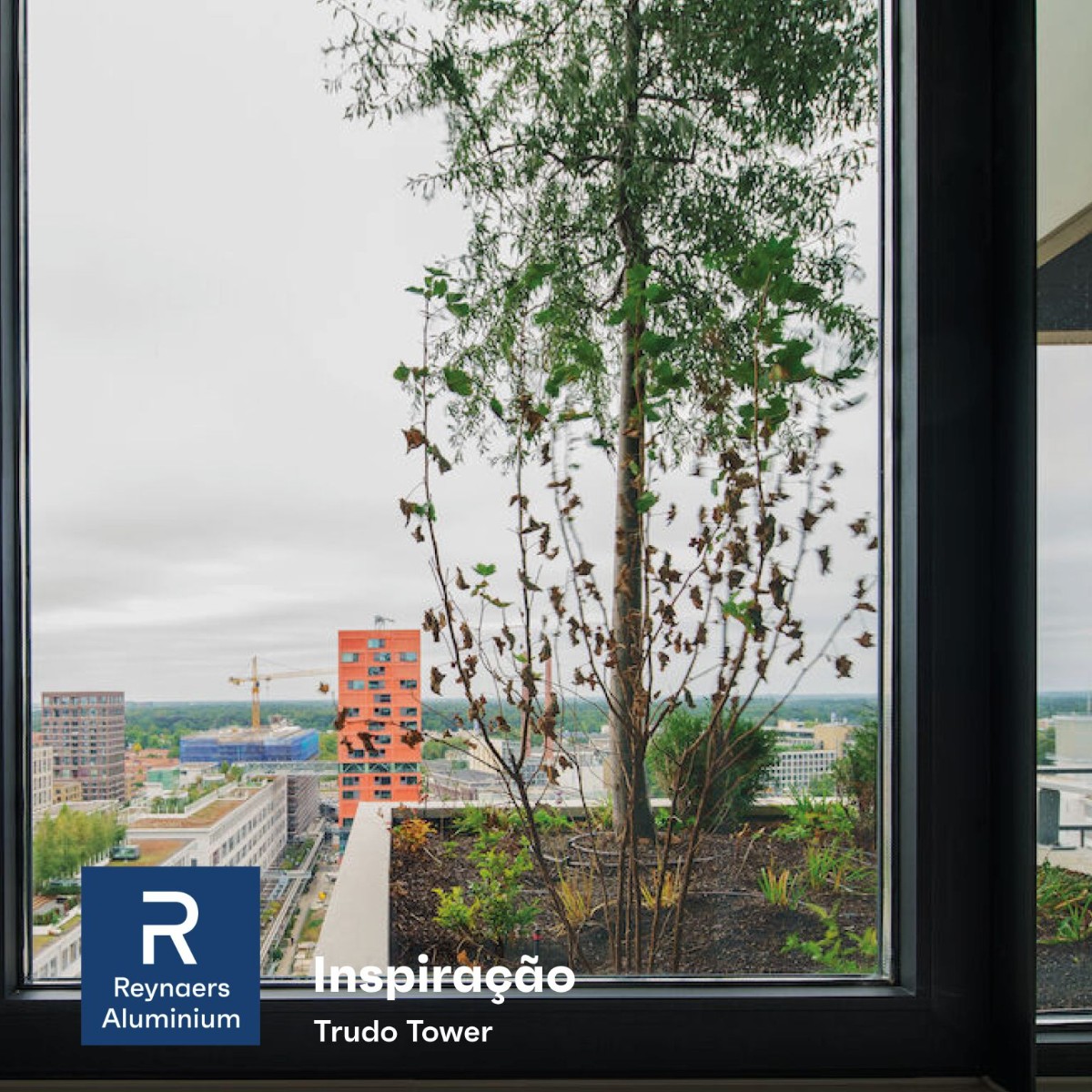 Trudo Toren Vertical Forest
🏦 En laTorre Trudo, los árboles y las plantas de los balcones embellecen la vista de los residentes, pero un detalle pasa desapercibido: está destinada a viviendas sociales.🌱

👉 brnw.ch/21wKuHF

#ReynaersAluminium #Aluminium #Architecture