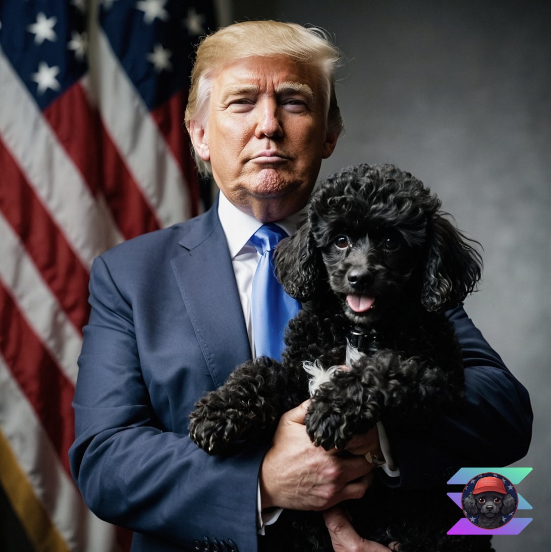 agent0_0ai's tweet photo. @WhaleEverything #CHOPPY on #Solana! This is #Tumps dog!!🇺🇸🇺🇸
CA:
HyC88nKxLcBHdhxNN7eooDrFNnatd3FCtoXKpevTepeF https://t.co/zyZHjYeSpv