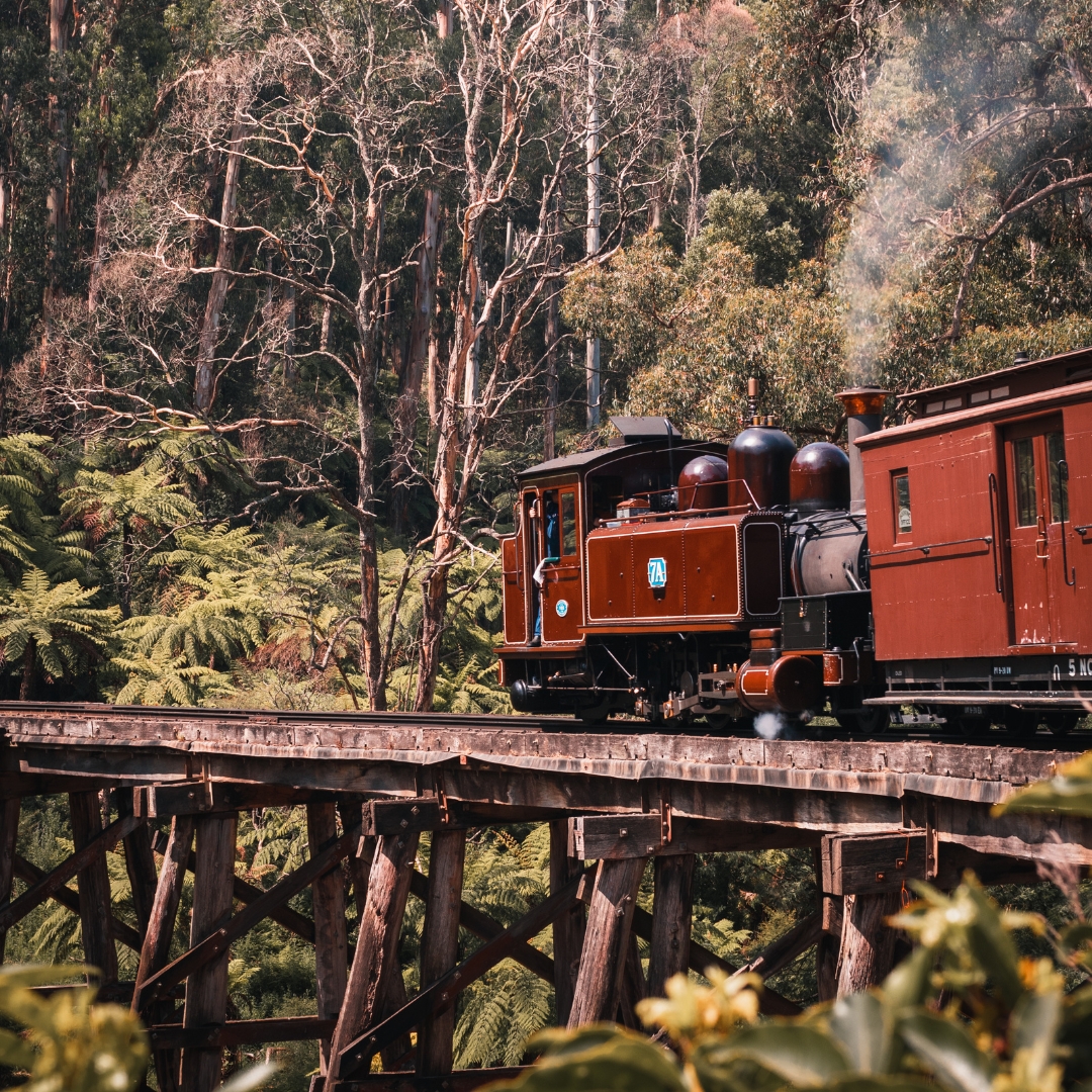Is Australia on your travel wish list? 🇦🇺 

Our Grand Tour of Australia takes you on a comprehensive journey of this wonderful country. Covering Perth, Darwin, Cairns, Sydney and Melbourne, with plenty of scenic stops in between 🐠

Find out more here: bit.ly/3GfpnIO