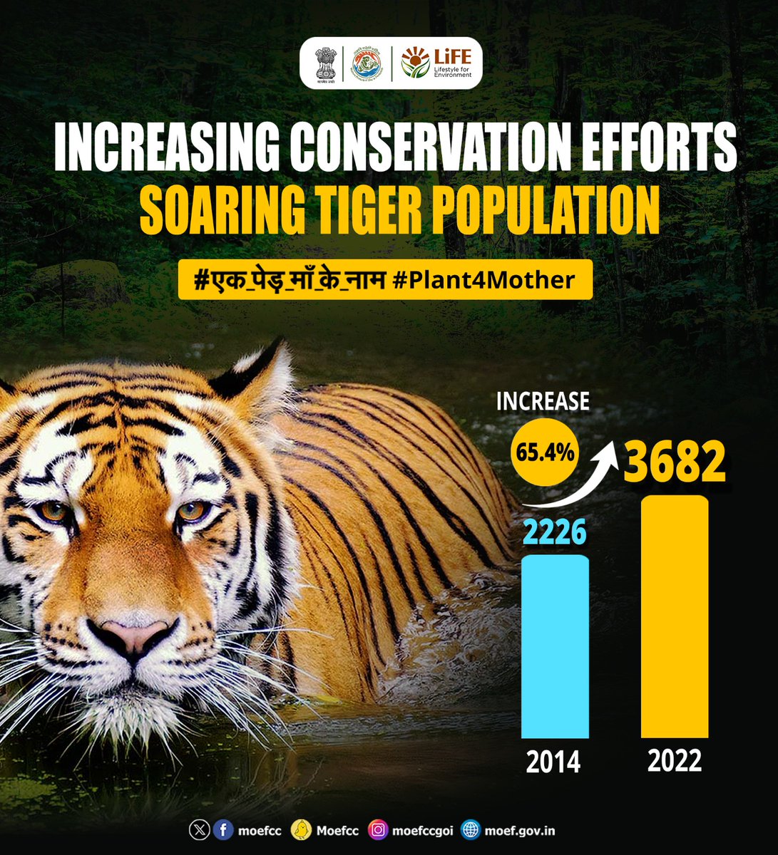 moefcc's tweet photo. Tiger numbers are on the rise showcasing  the success of wildlife conservation. Let's unite to preserve our precious wildlife habitats.

#MissionLiFE #WED2024 #Plant4Mother #एक_पेड़_��ाँ_के_नाम https://t.co/O64laPgU2L