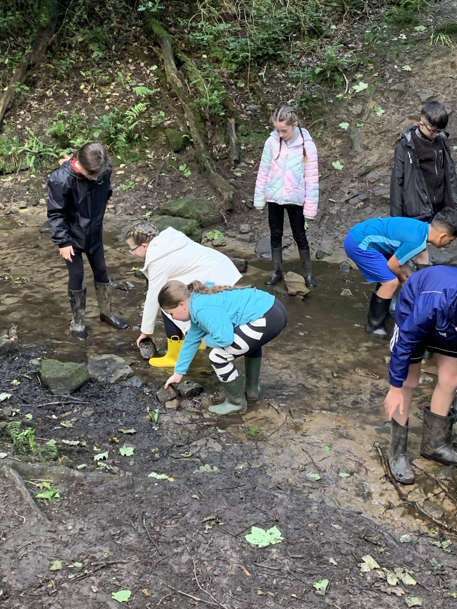 Lakeside_school's tweet photo. Group 2 making stone towers in the river. @CliffeHouse #gettingwet #havingfun https://t.co/PuYgcIPWix