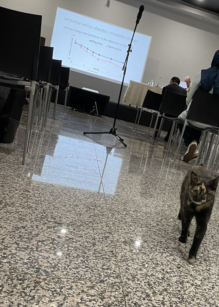 MehranSHND's tweet photo. No surprise! just a conference in istanbul. https://t.co/0WzsSwX6Xj