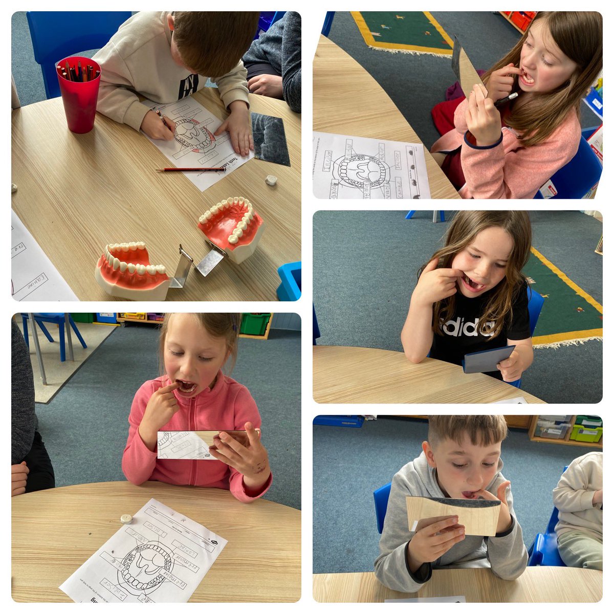 Dechmont Infant Sch tweet media