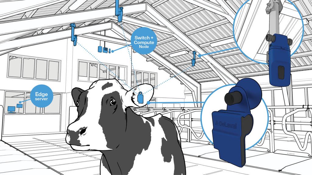 DeLaval Plus Behaviour Analysis
Available now from B H White and Son 
- Find sick cows faster
- Find cows in heat
- Cow’s localisation

Want to know more…? Click here bit.ly/3RgWyBE