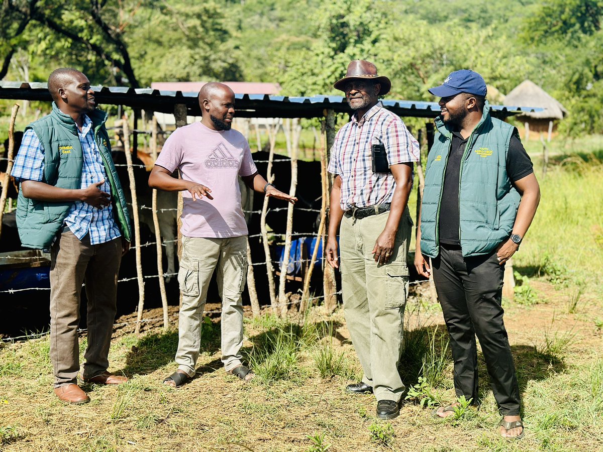 The only Mayor of Harare we recognise His Worship Clr  <a href="/IanMakone1/">MAYOR OF HARARE 2023-2028</a>