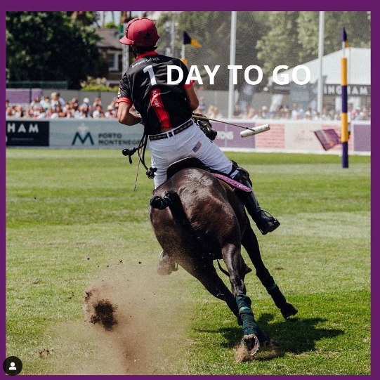 Chestertons Polo in the Park tweet media