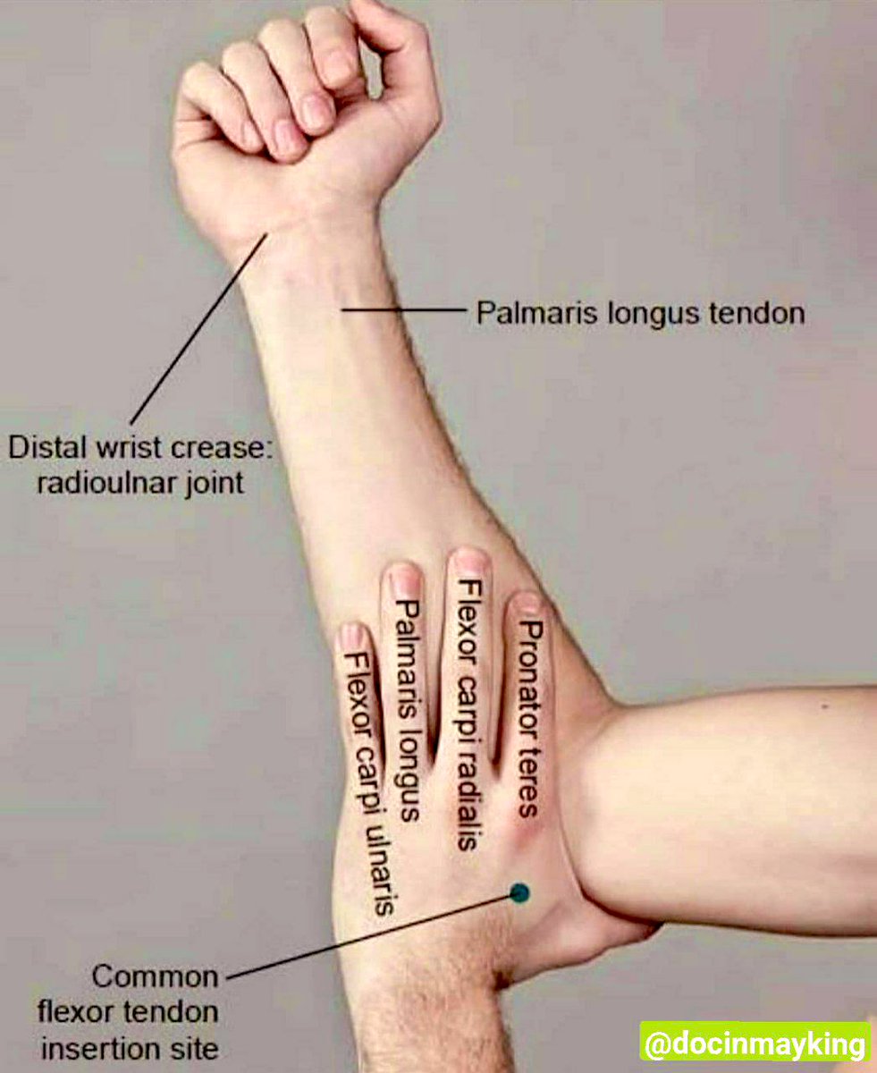 Dr Honey choudhary 🩺 (@doctors__squad) on Twitter photo 