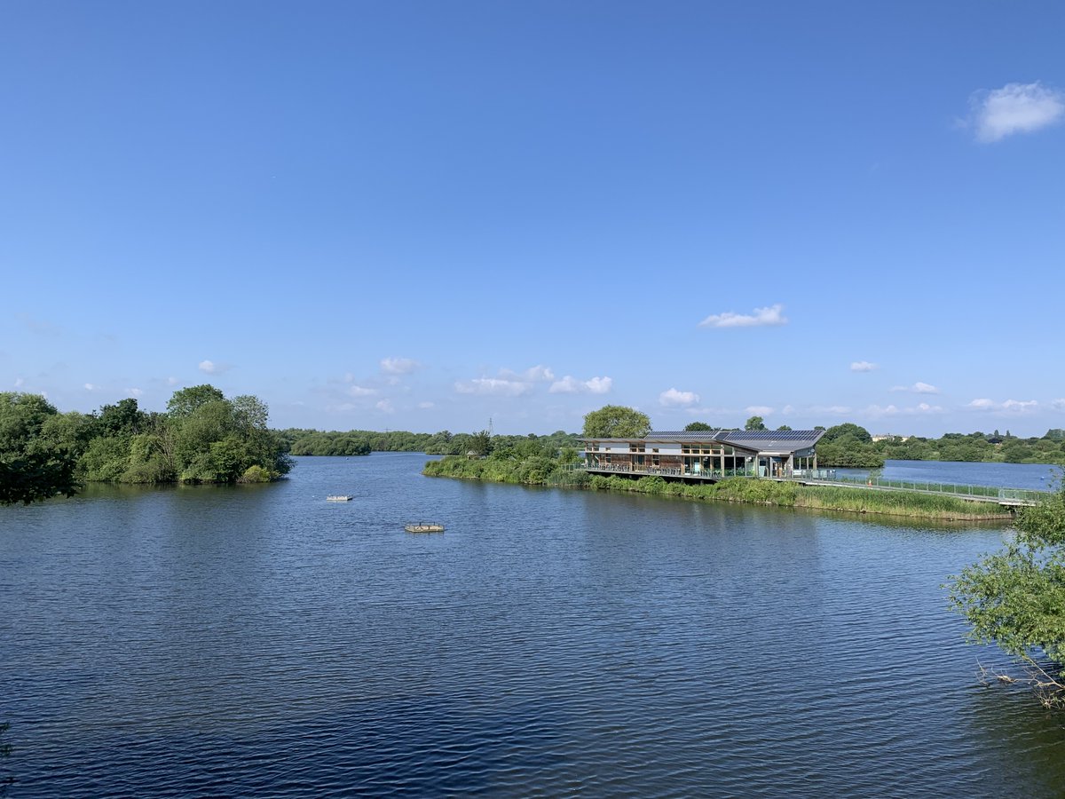 Centre for Mathematical Cognition tweet media