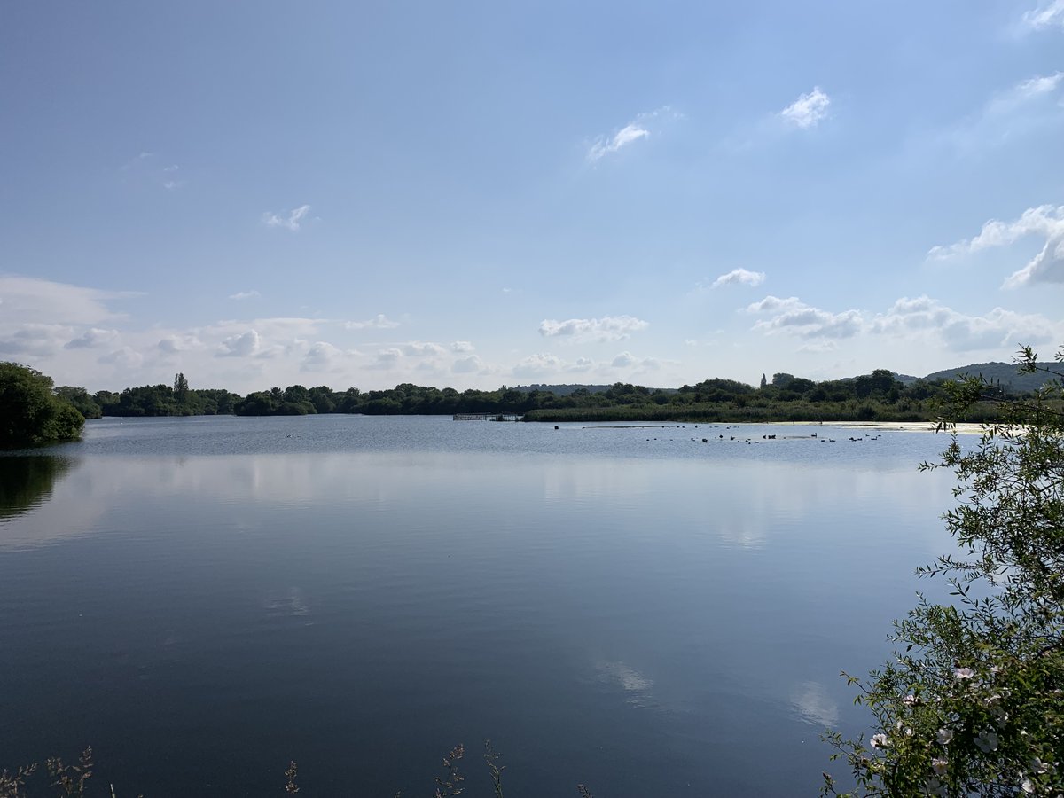 Centre for Mathematical Cognition tweet media