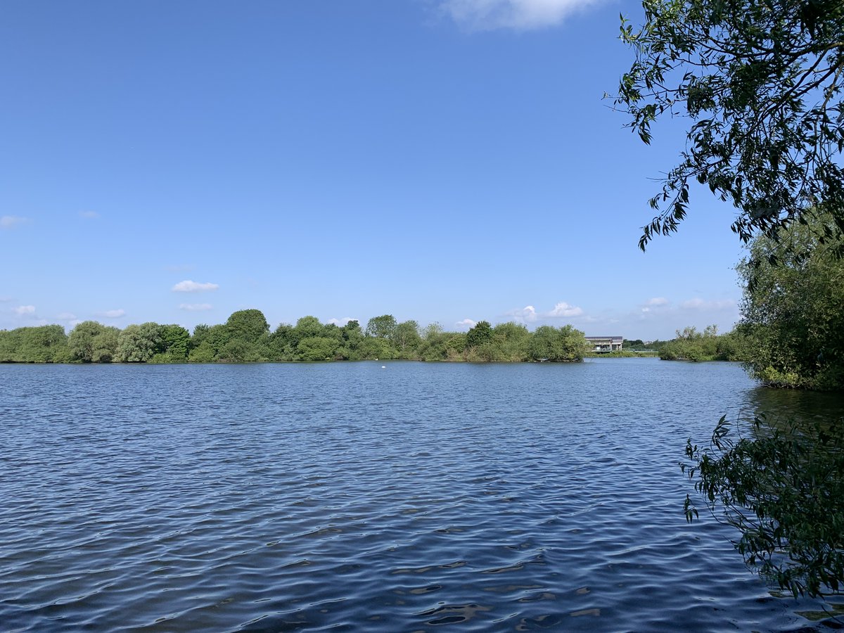 Centre for Mathematical Cognition tweet media