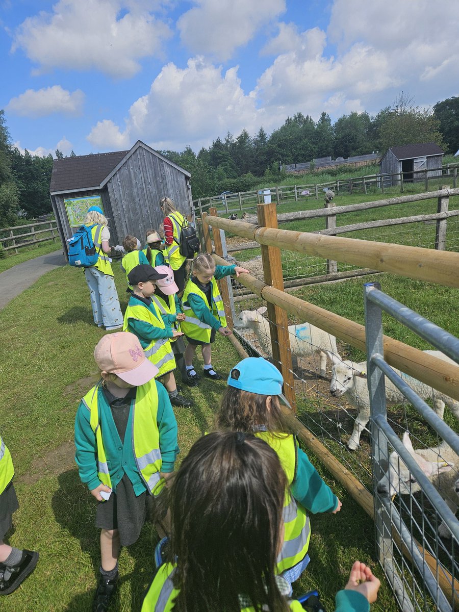 uptonclassRJF's tweet photo. We have arrived and straight to feeding the animal @UptonclassRKC https://t.co/37jzghoakl