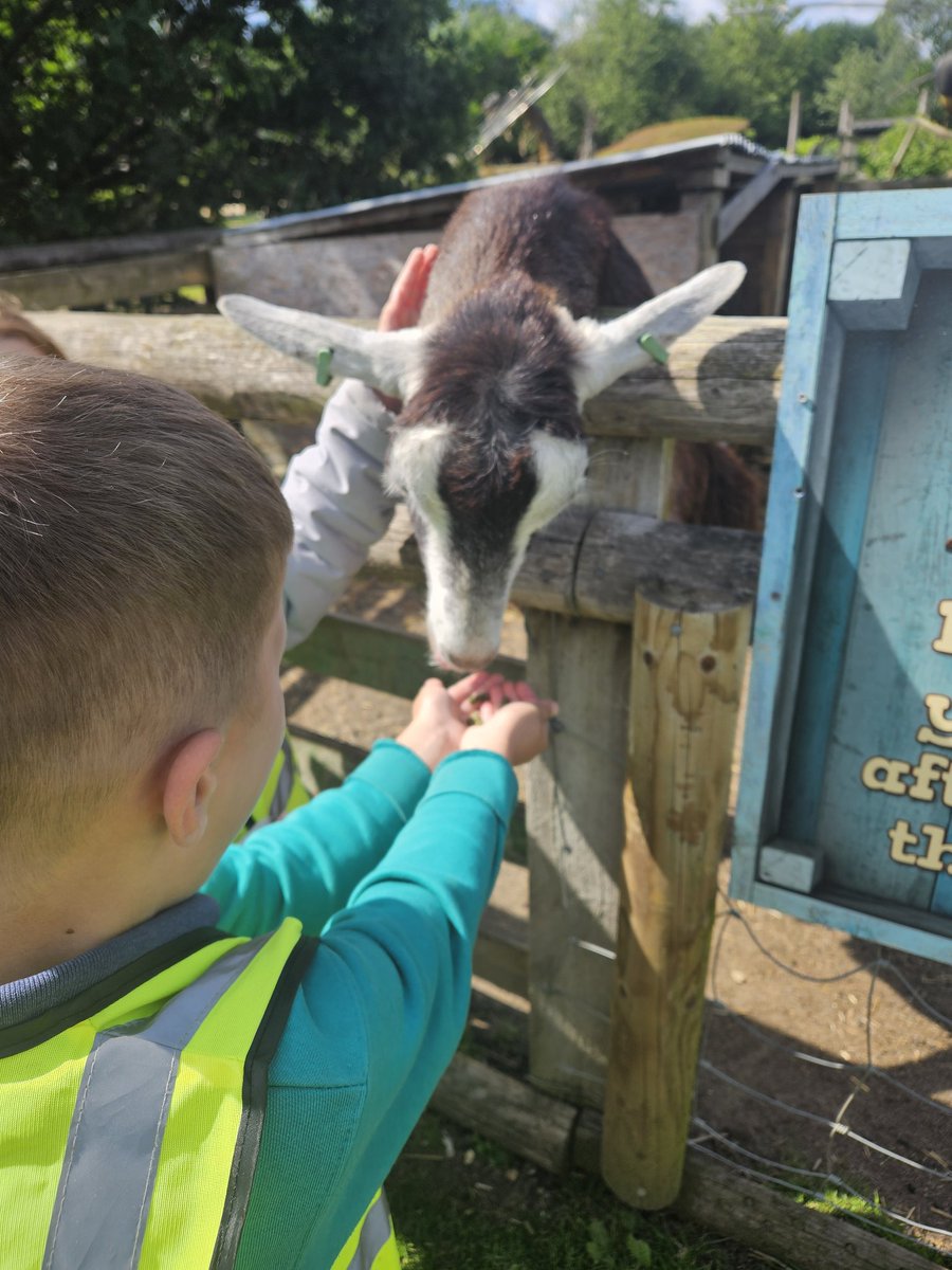 uptonclassRJF's tweet photo. We have arrived and straight to feeding the animal @UptonclassRKC https://t.co/37jzghoakl