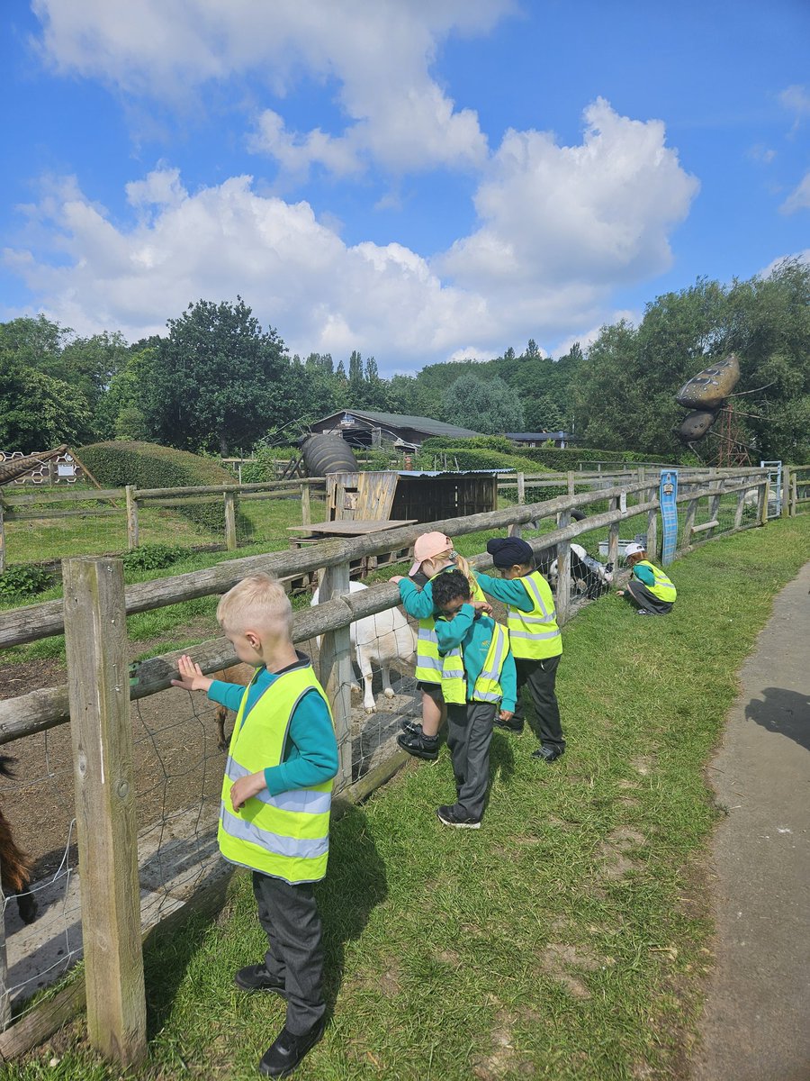 uptonclassRJF's tweet photo. We have arrived and straight to feeding the animal @UptonclassRKC https://t.co/37jzghoakl