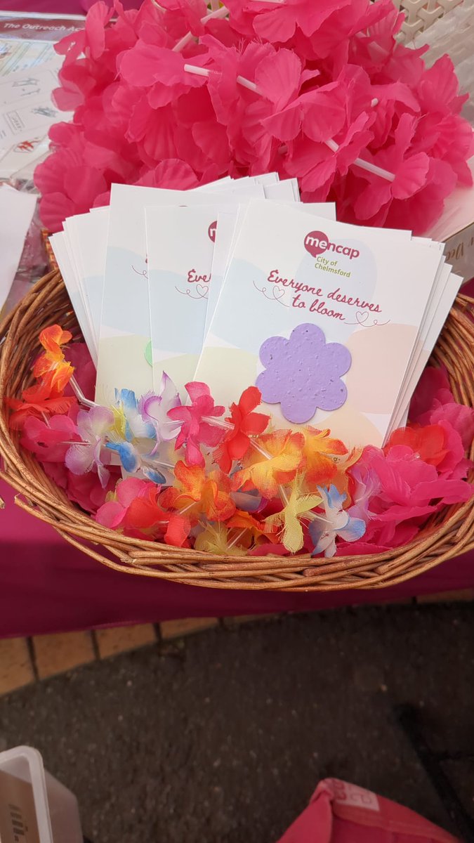 CityMencap's tweet photo. Our stand is set up and we're raring to go at #VOLFEST, the brilliant festival of volunteering organised by @ChelmsfordCVS The sun is shining, our volunteers are blooming (marvellous) and we've lots of treats for visitors! Come and find us in Chelmsford High Street, near H&M! https://t.co/H2eFK55Ql0