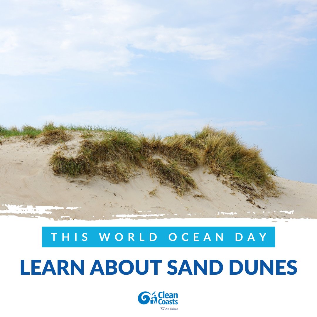 CleanCoasts's tweet photo. #WorldOceanDay is getting closer! To mark it learn about Ireland's sand dunes and how we can protect them. Did you know that later in June we also celebrate #SandDuneDay? Learning now is a great way to get ready for it! #CleanCoasts #OceanClimateAction https://t.co/LKIEf6tbcg https://t.co/eVJL1J1PWS