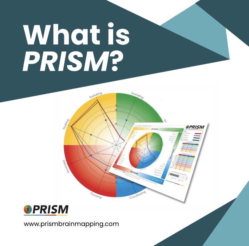 PRISMBrainMap's tweet photo. PRISM provides a powerful, graphic explanation for why people approach situations and individuals in different ways. 

✅Understand your behaviour. 
✅Build stronger relationships. 
✅Discover your true potential.

https://t.co/ss2TpMgI8n https://t.co/LUzGCYw7C4
