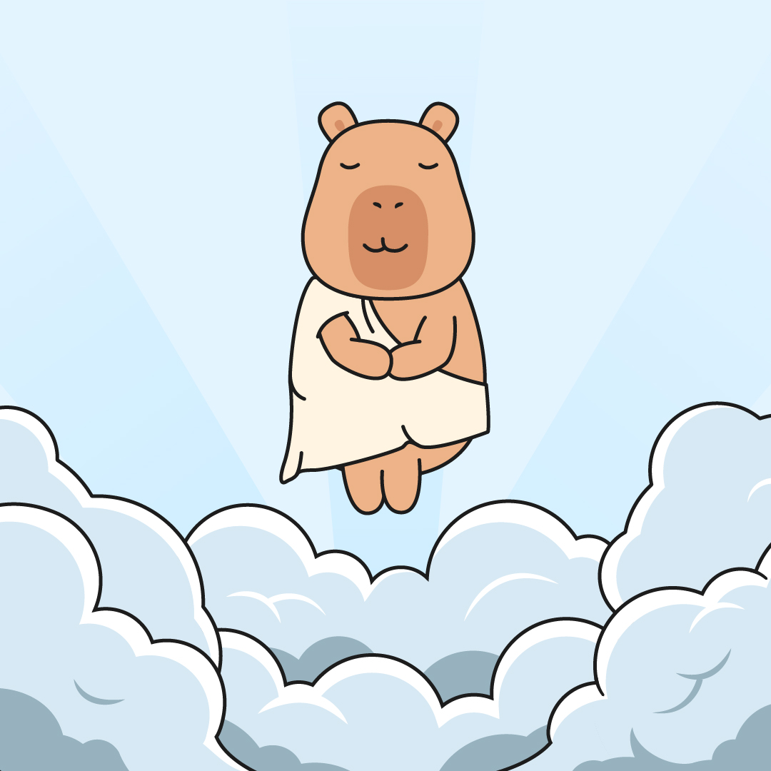 CapyVault tweet media