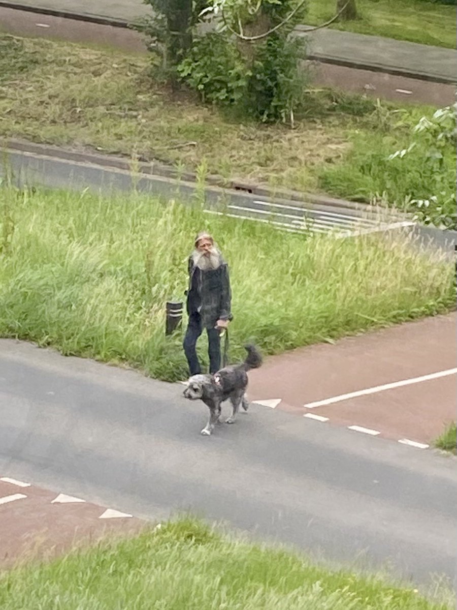 When dog and owner are the exact same creature 💛