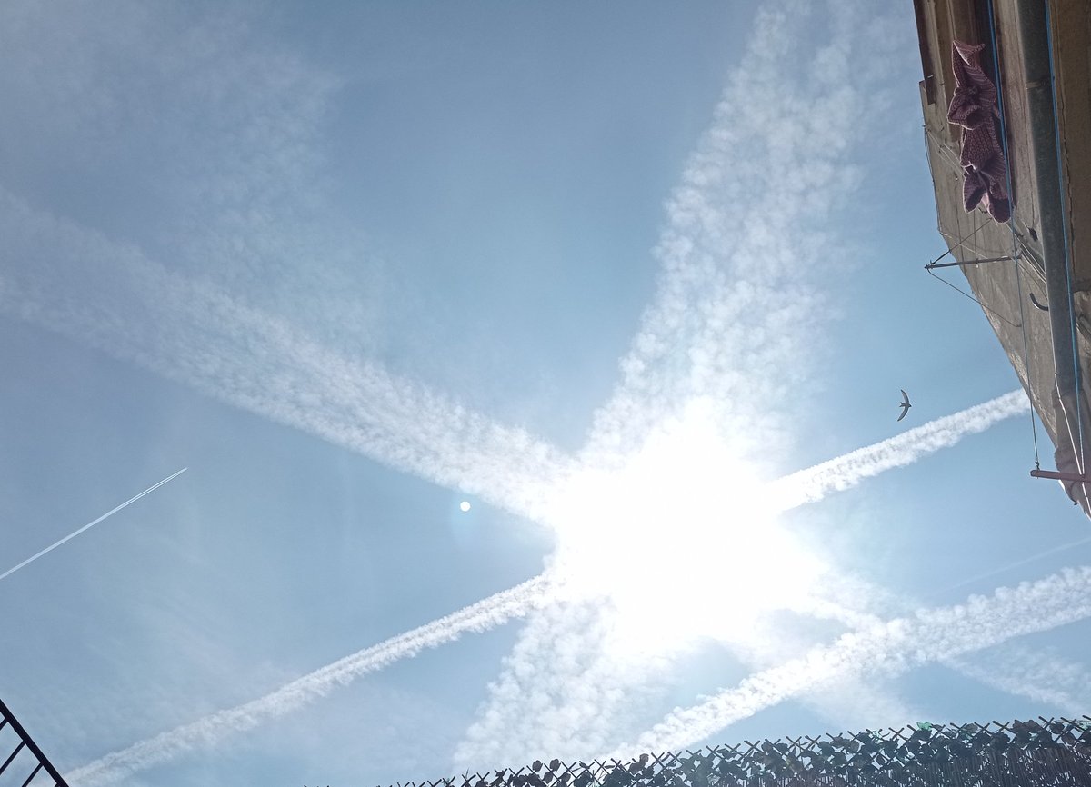 ToniRamonPerez1's tweet photo. Qué divertido, verdad?
Ahora después de provocar el deseado aumento de temperaturas, nos hablarán del bendito polvo sahariano de cada mes.
Barcelona, capital del pantano globalista. https://t.co/Nv3s6KUZe4