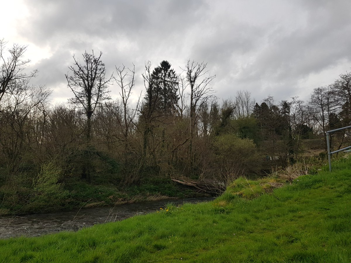 ClareLithua's tweet image. Changeable weather for changeable times! 
🙂 
We are still active, but very busy off of social media getting things done in the wider world. The work never stops! ✨🧿🙏
#micronations #conservation #riversideawareness #riparianmicronations