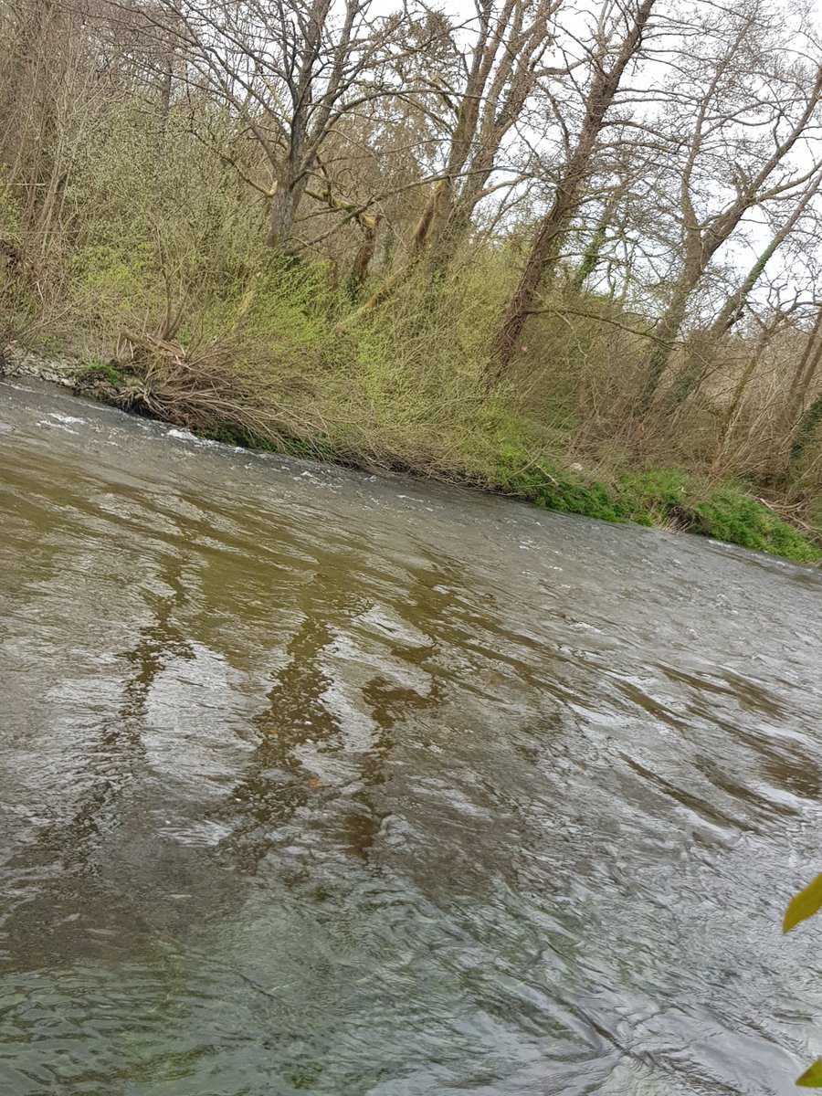 ClareLithua's tweet image. Changeable weather for changeable times! 
🙂 
We are still active, but very busy off of social media getting things done in the wider world. The work never stops! ✨🧿🙏
#micronations #conservation #riversideawareness #riparianmicronations