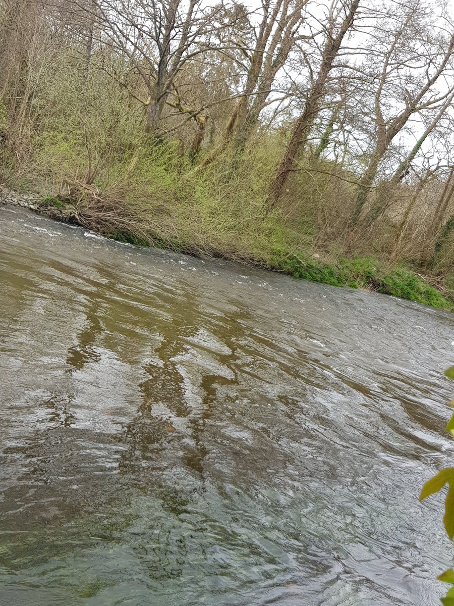 ClareLithua's tweet image. Changeable weather for changeable times! 
🙂 
We are still active, but very busy off of social media getting things done in the wider world. The work never stops! ✨🧿🙏
#micronations #conservation #riversideawareness #riparianmicronations
