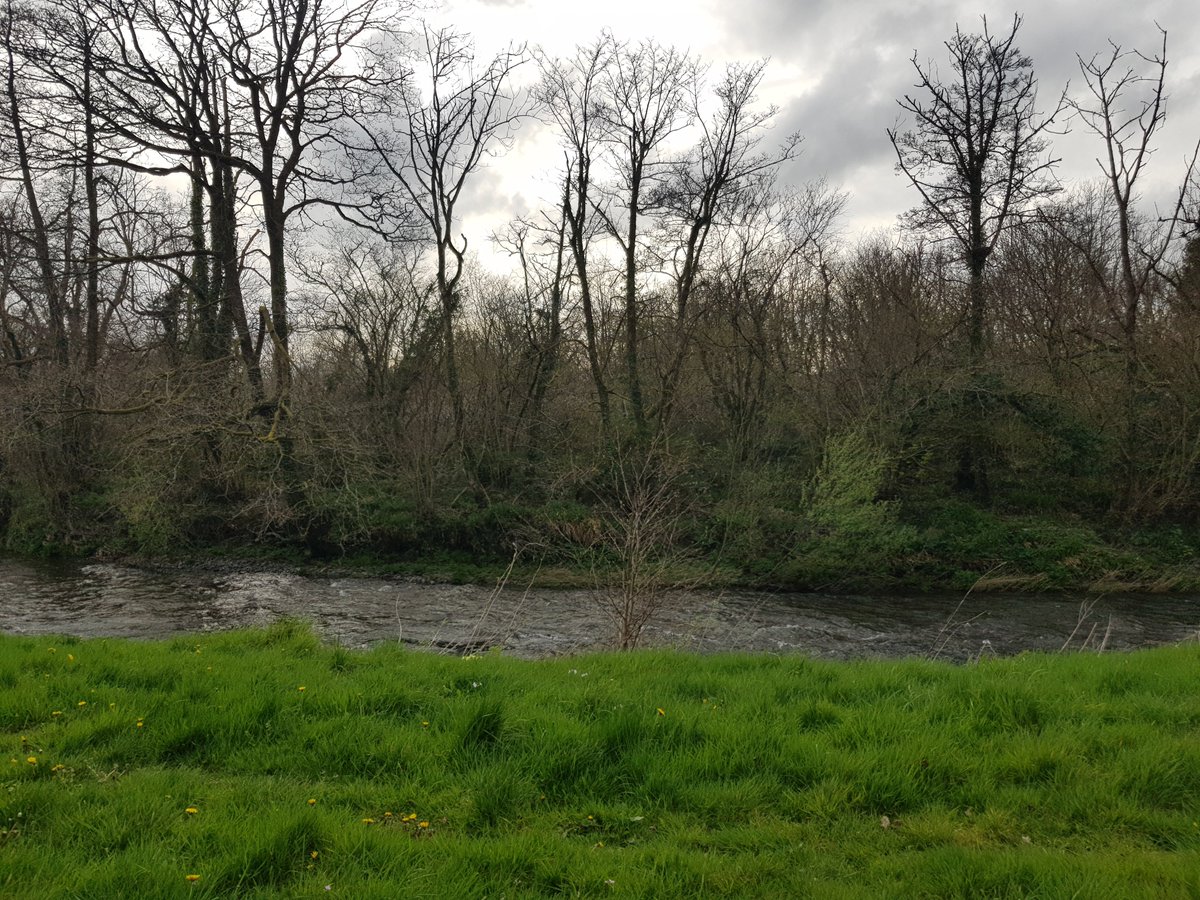 ClareLithua's tweet image. Changeable weather for changeable times! 
🙂 
We are still active, but very busy off of social media getting things done in the wider world. The work never stops! ✨🧿🙏
#micronations #conservation #riversideawareness #riparianmicronations